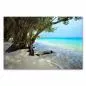 Preview: Idyllischer Strand mit weißem Sand, türkisblauem Wasser und schattenspendenden Bäumen am Ufer. Preview: Idyllischer Strand mit weißem Sand, türkisblauem Wasser und schattenspendenden Bäumen am Ufer.